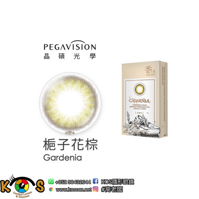 PEGAVISION 晶碩 彩色 月拋 香水梔子花棕 Gardenia Monthly